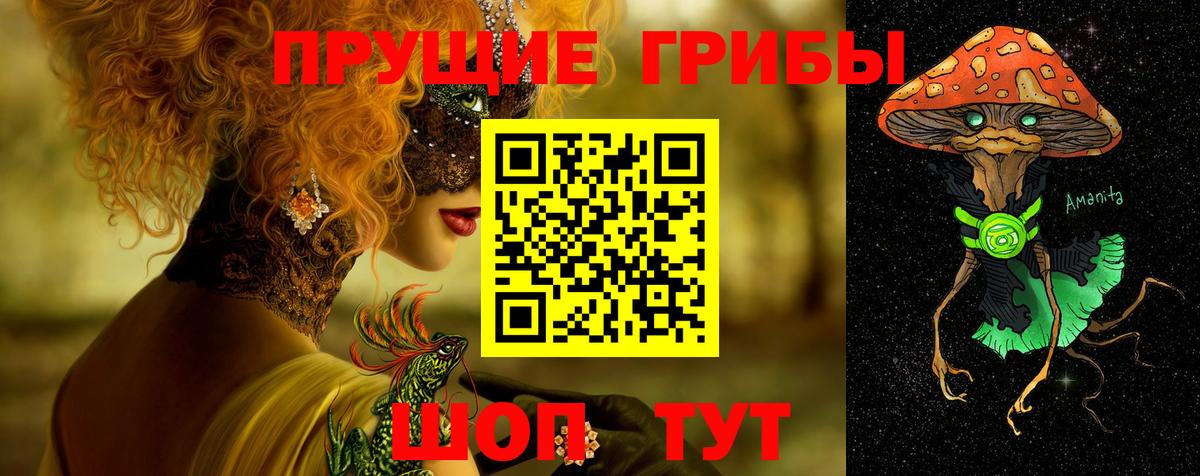 Псилоцибиновые грибы мицелий Котлас